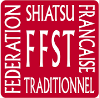 Logo ffst 2